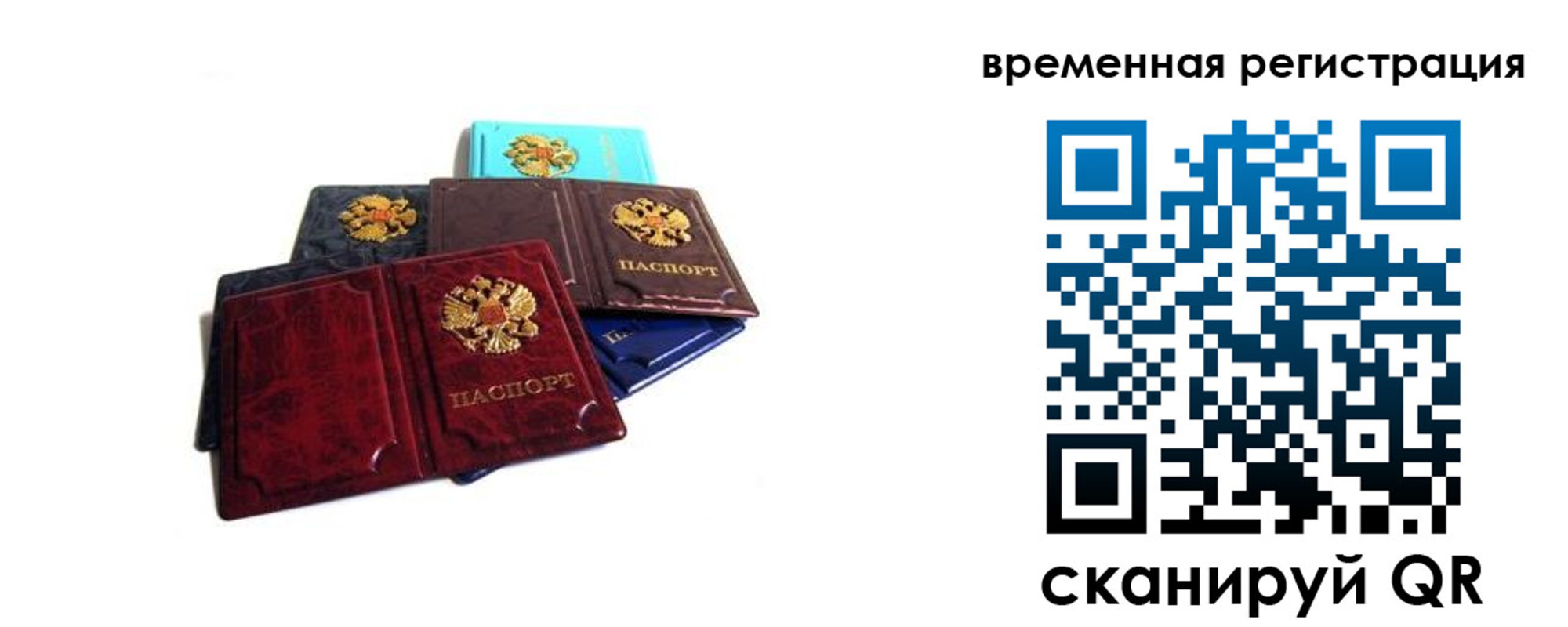 прописка гарантия в Камешково